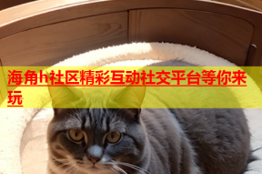 海角h社区精彩互动社交平台等你来玩