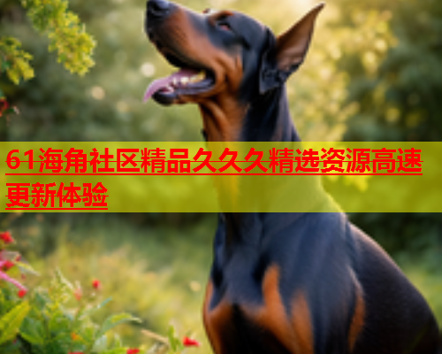 61海角社区精品久久久精选资源高速更新体验  第1张