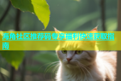 海角社区推荐码专享福利快速获取指南