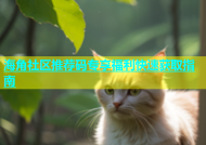 海角社区推荐码专享福利快速获取指南