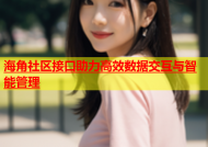 海角社区接口助力高效数据交互与智能管理
