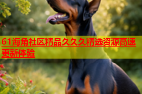 61海角社区精品久久久精选资源高速更新体验