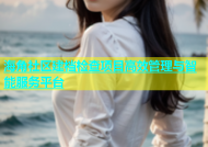 海角社区建档检查项目高效管理与智能服务平台