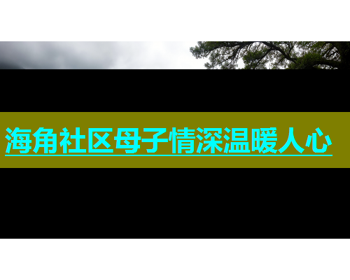 海角社区母子情深温暖人心  第2张