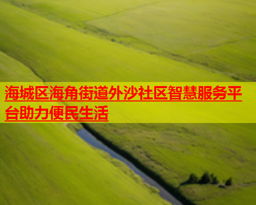 海城区海角街道外沙社区智慧服务平台助力便民生活  第1张