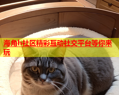 海角h社区精彩互动社交平台等你来玩  第1张